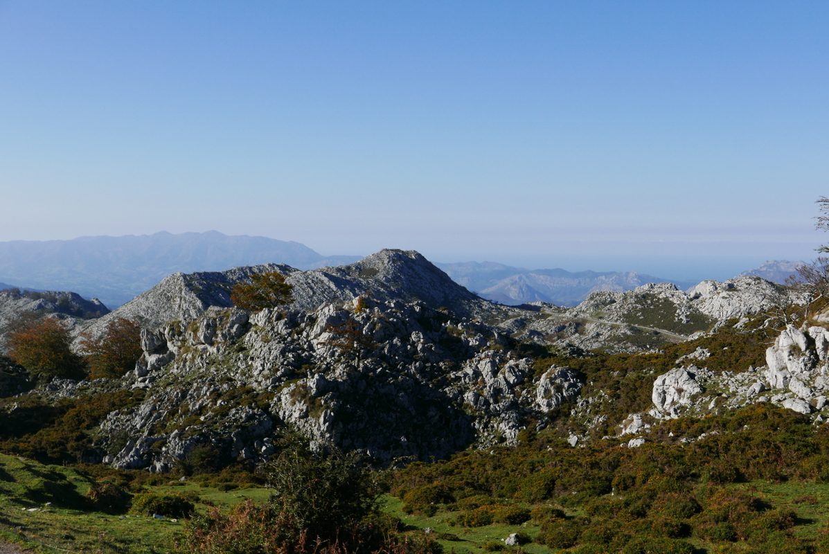 p1100581.jpg