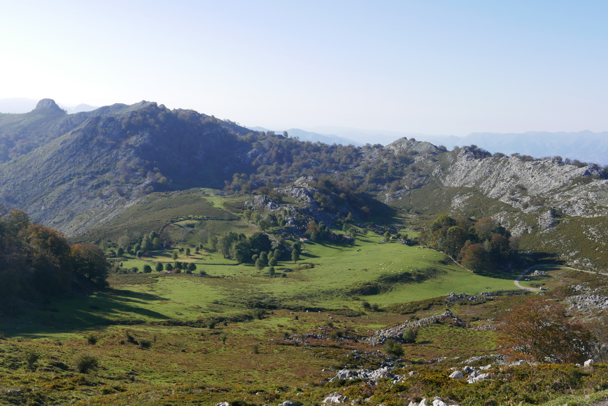 p1100584.jpg