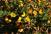 p1100543.jpg