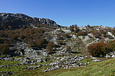 p1100548.jpg