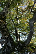 p1100551.jpg