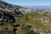 p1100554.jpg
