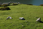 p1100571.jpg