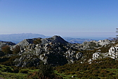 p1100581.jpg