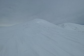 p1002319.jpg