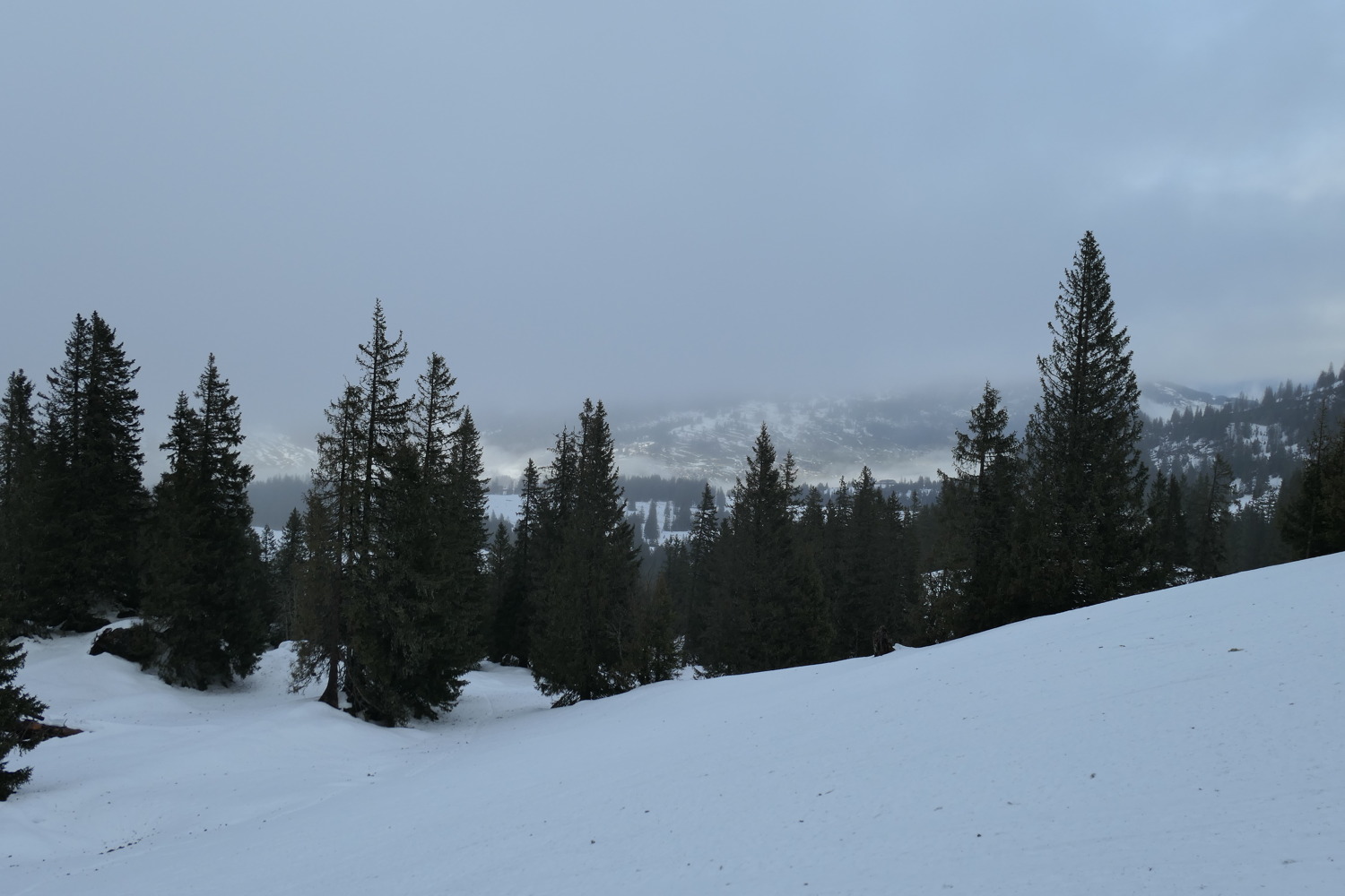 p1010945.jpg