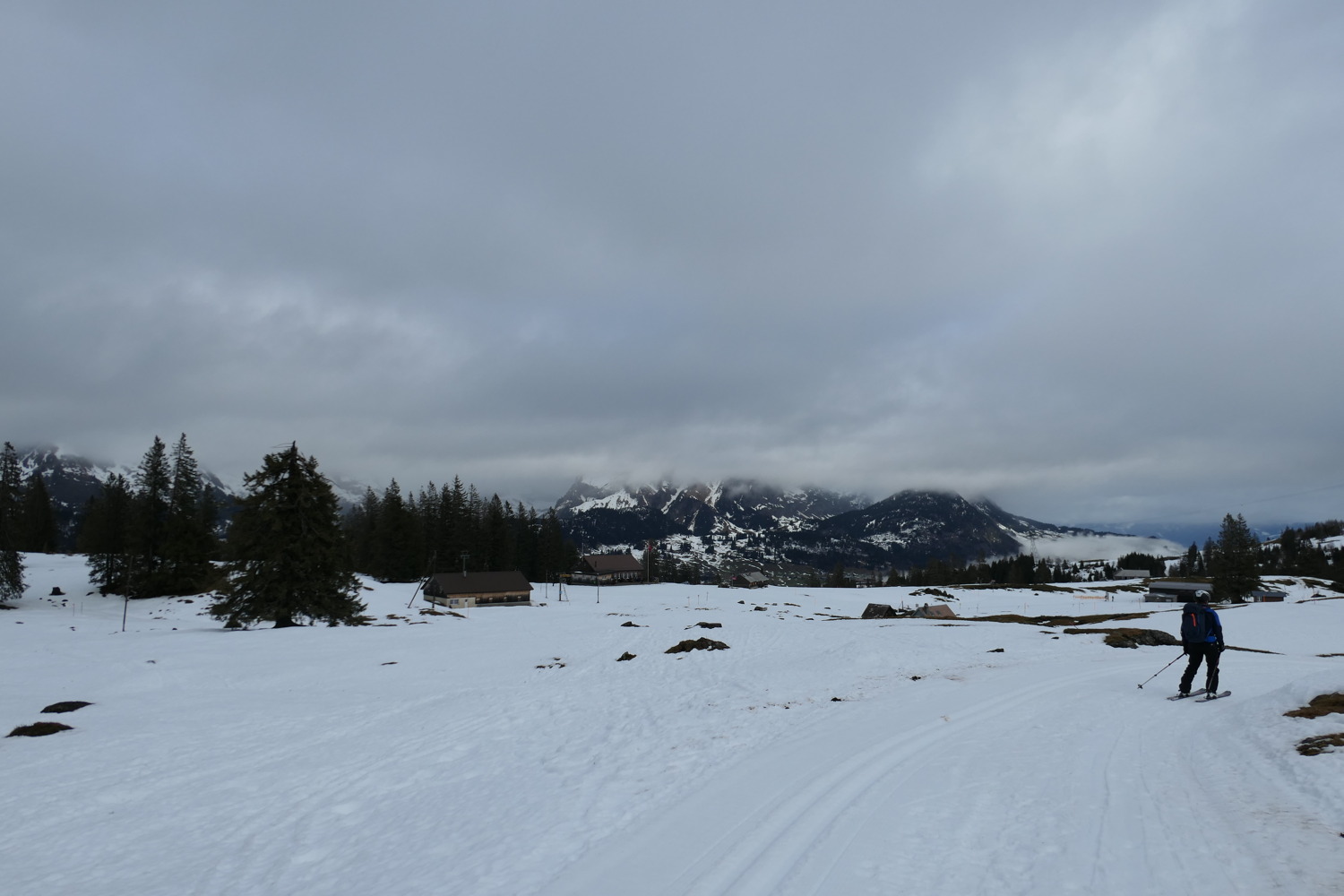 p1010954.jpg
