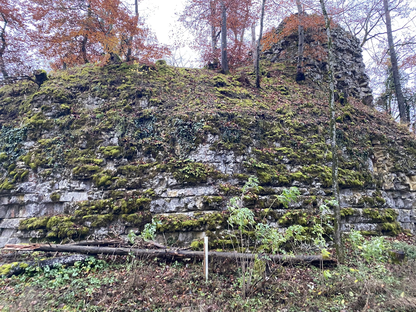 img_2676.jpg