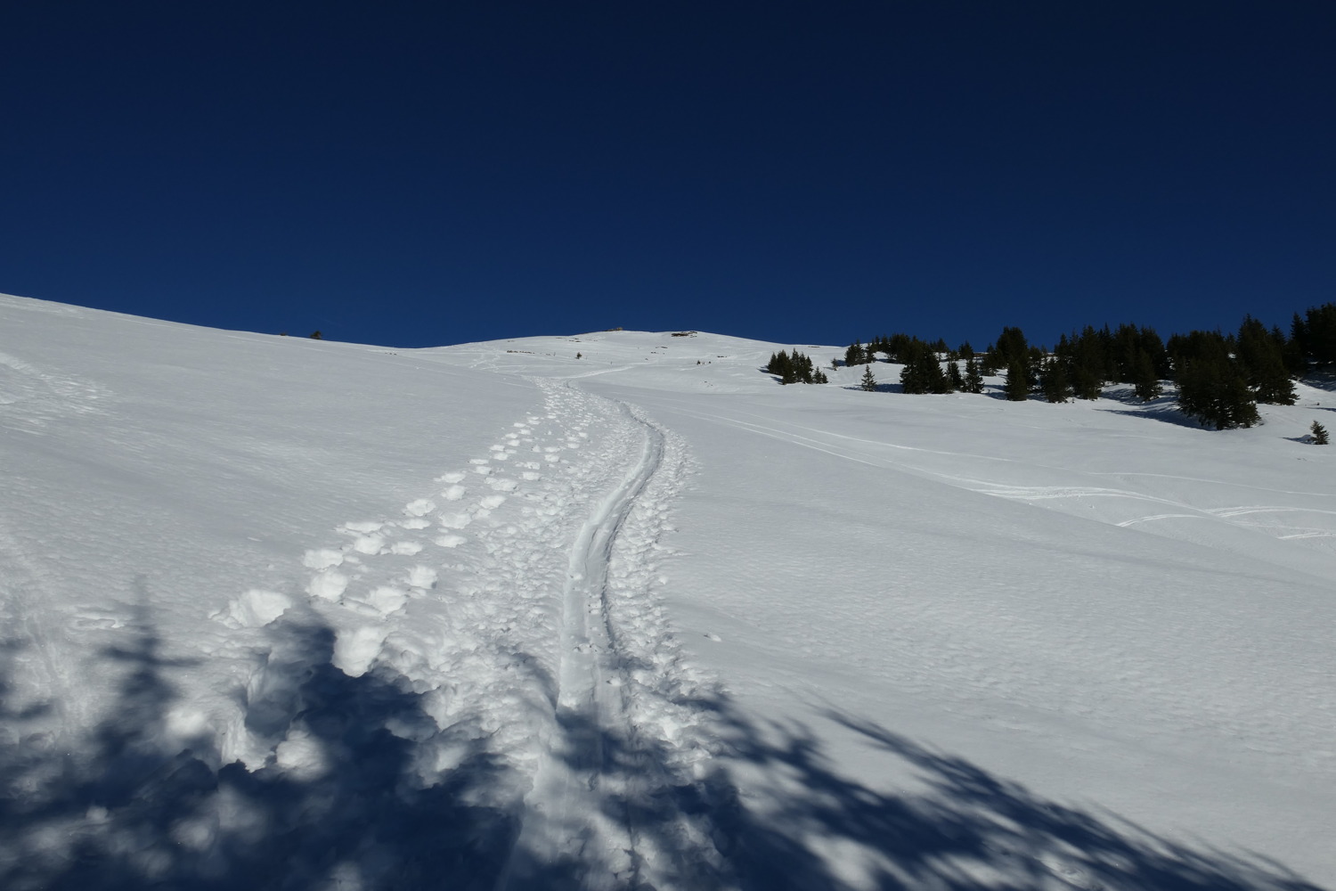 p1010917.jpg