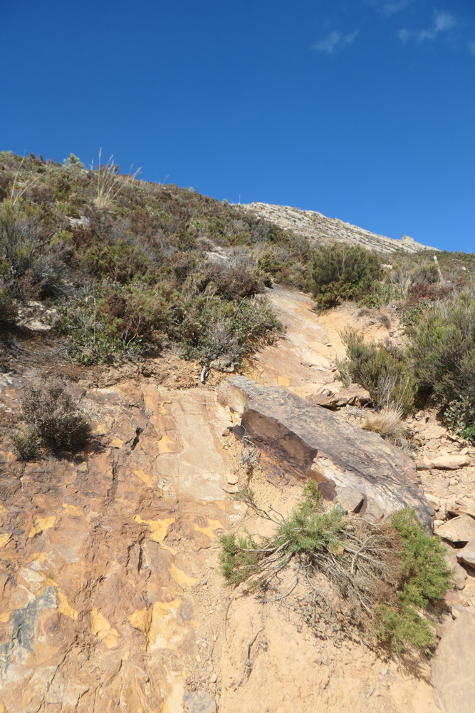 p1004179.jpg