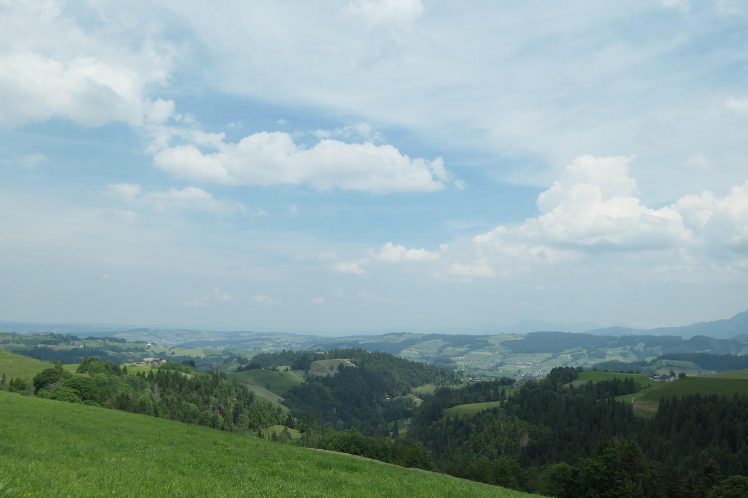 p1003458.jpg