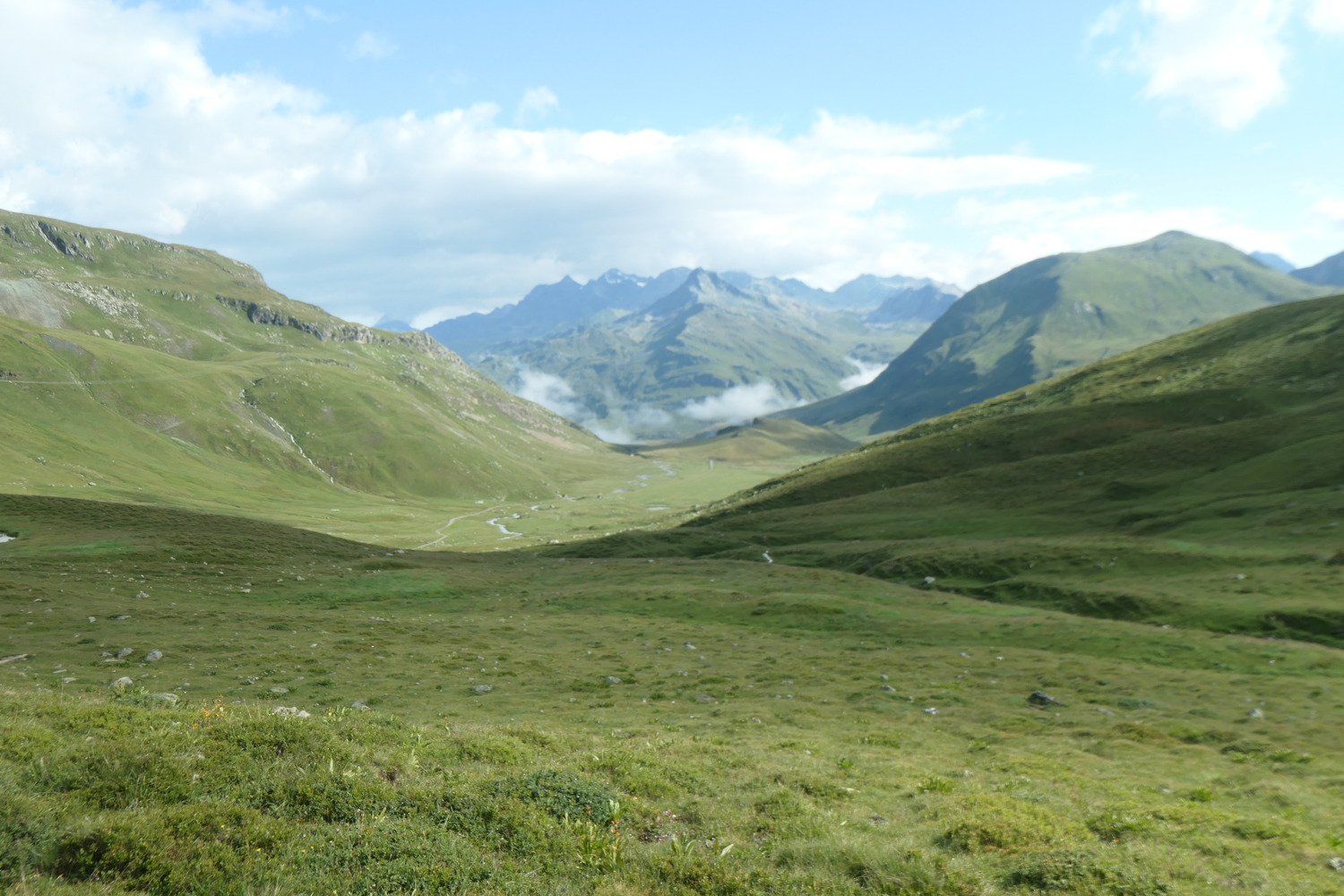 p1003753.jpg
