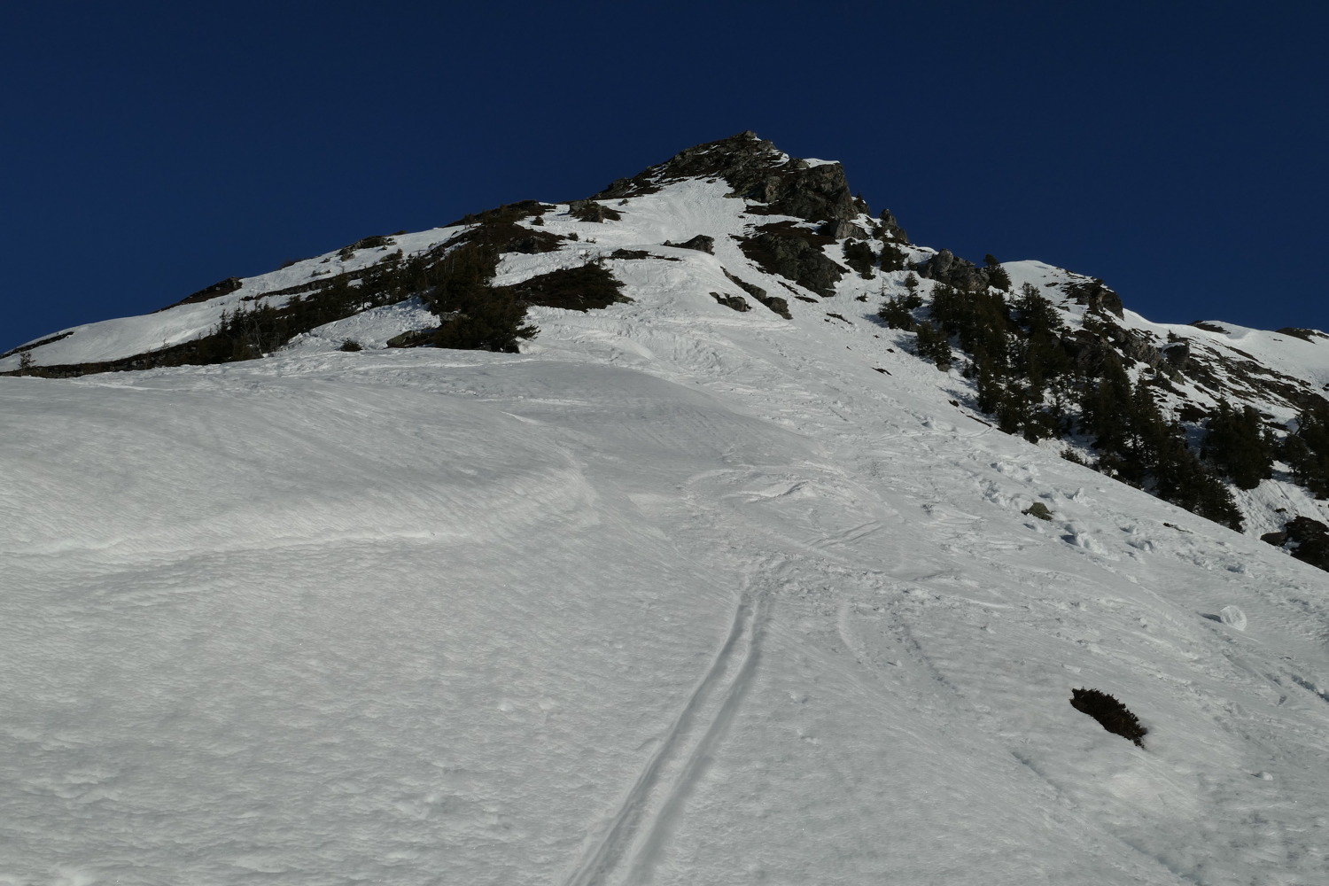 p1010926.jpg