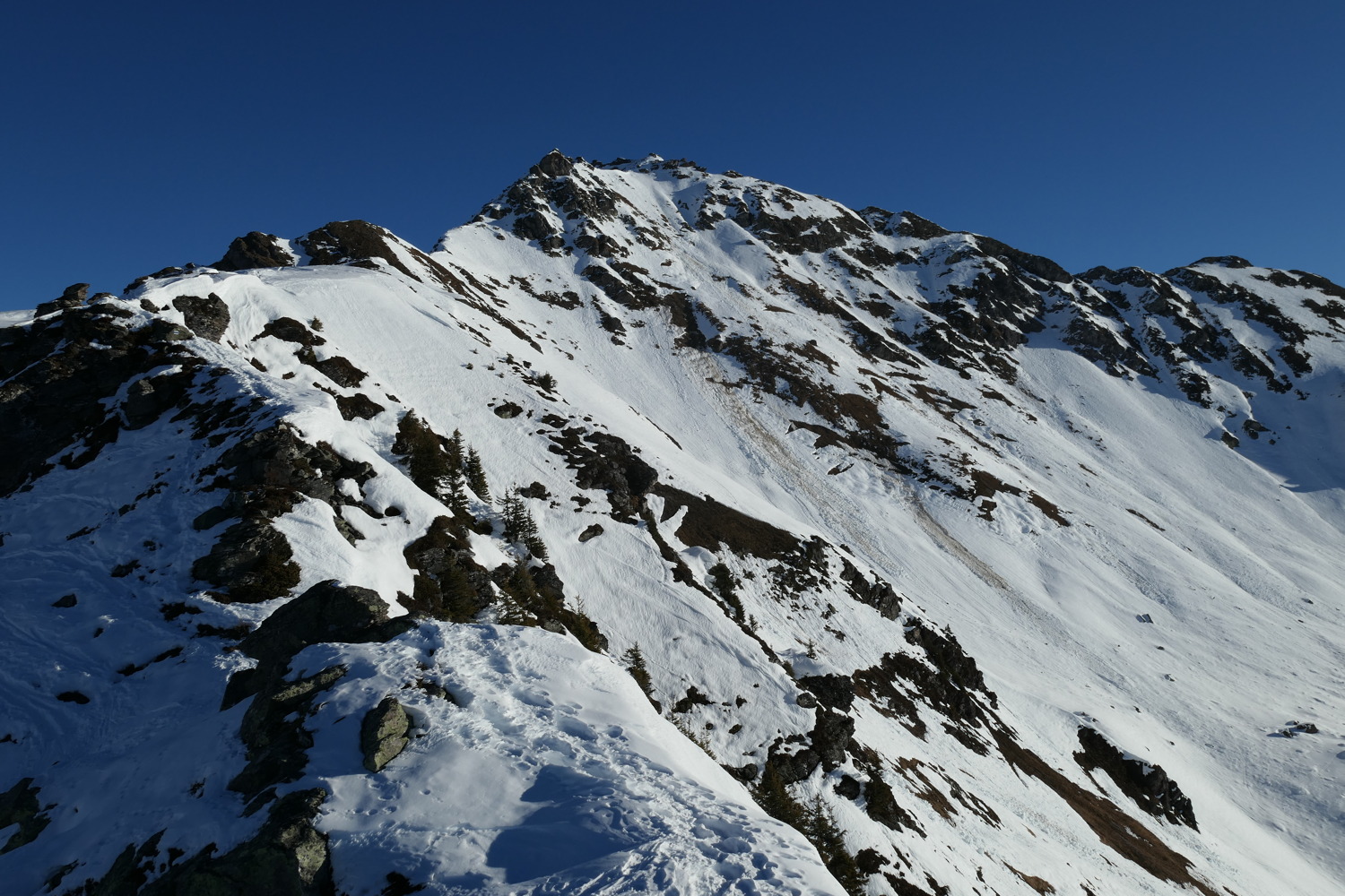 p1010931.jpg