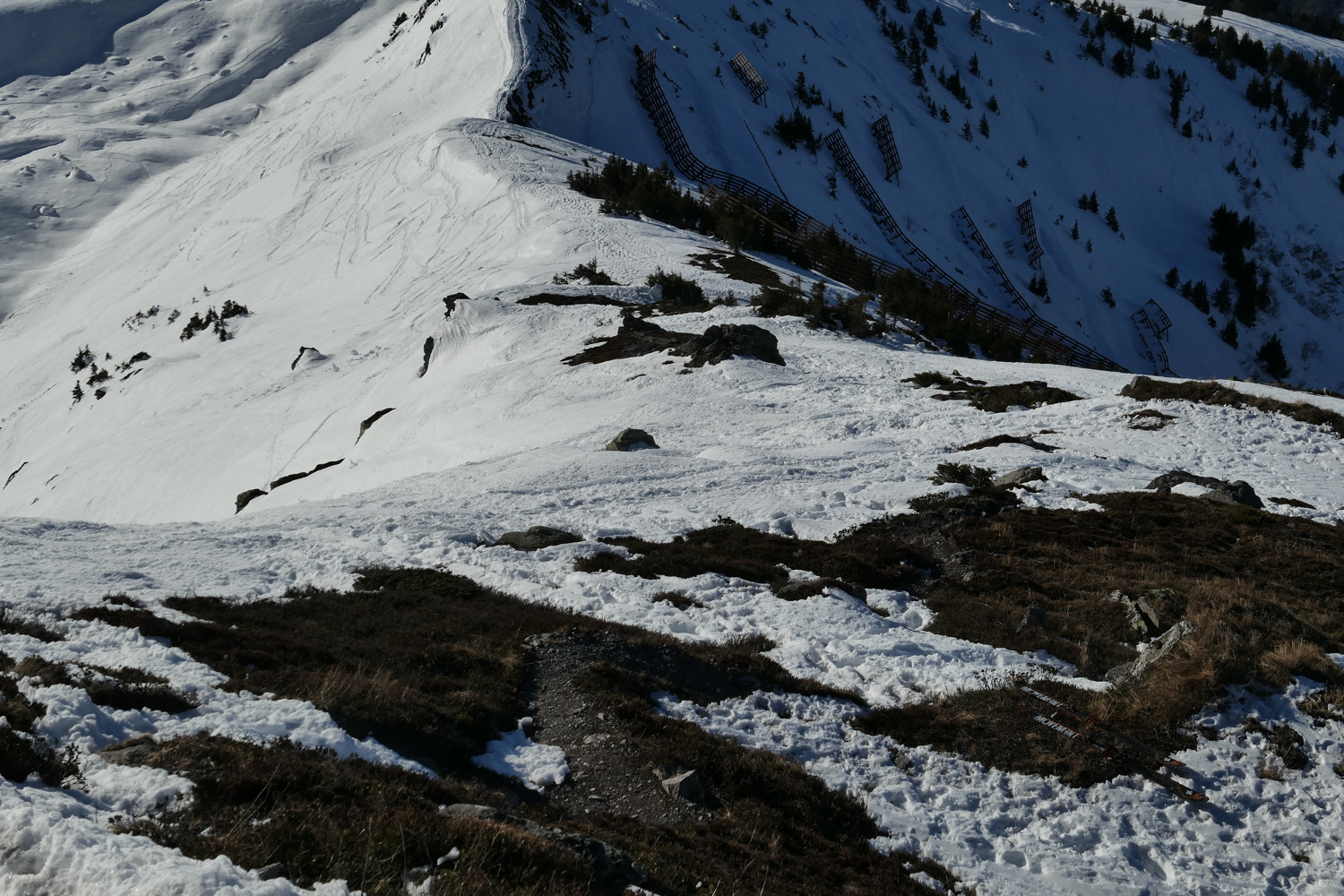 p1010932.jpg
