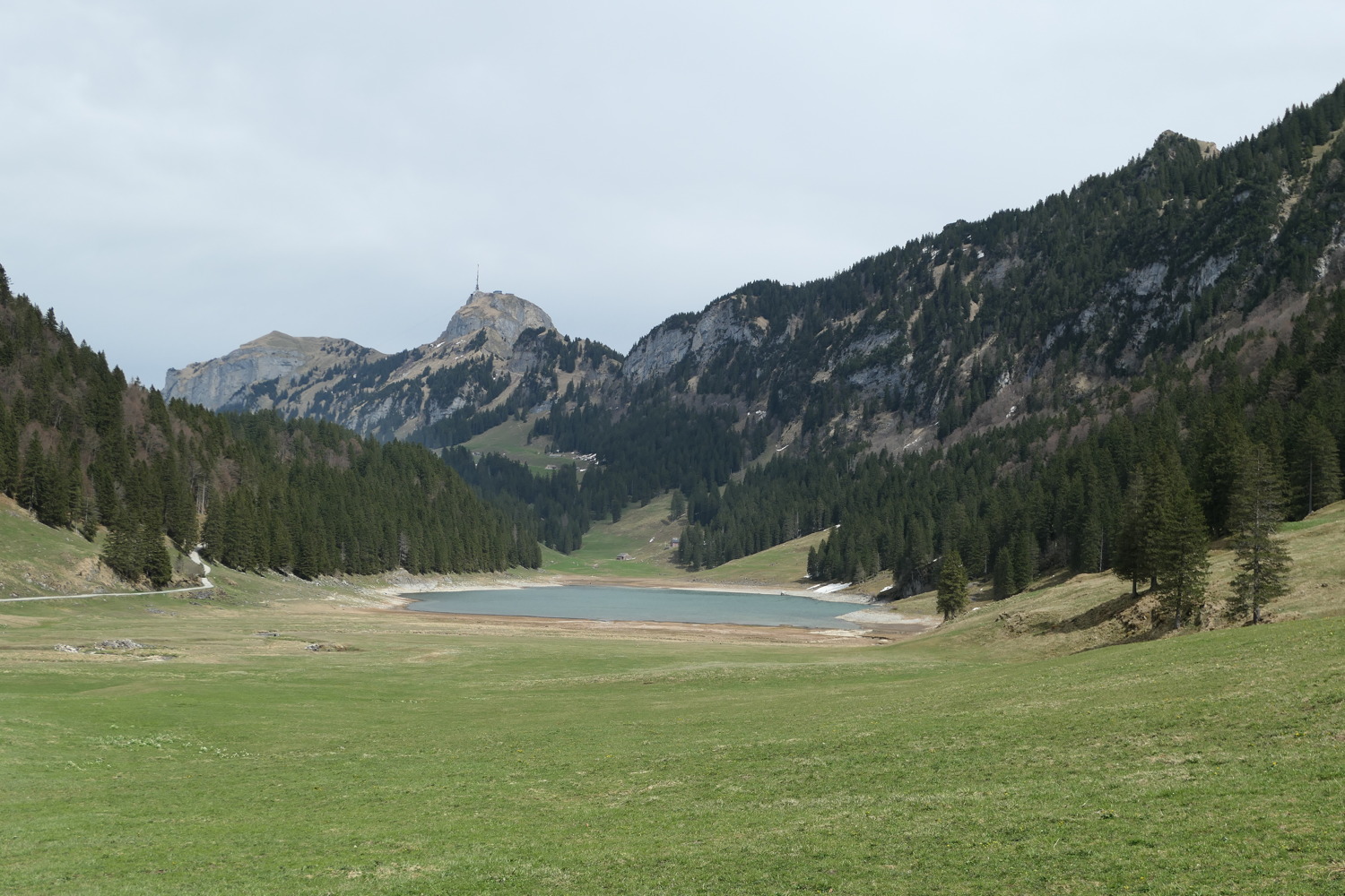 p1020558.jpg