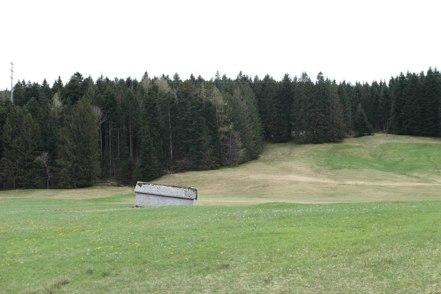 p1020561.jpg