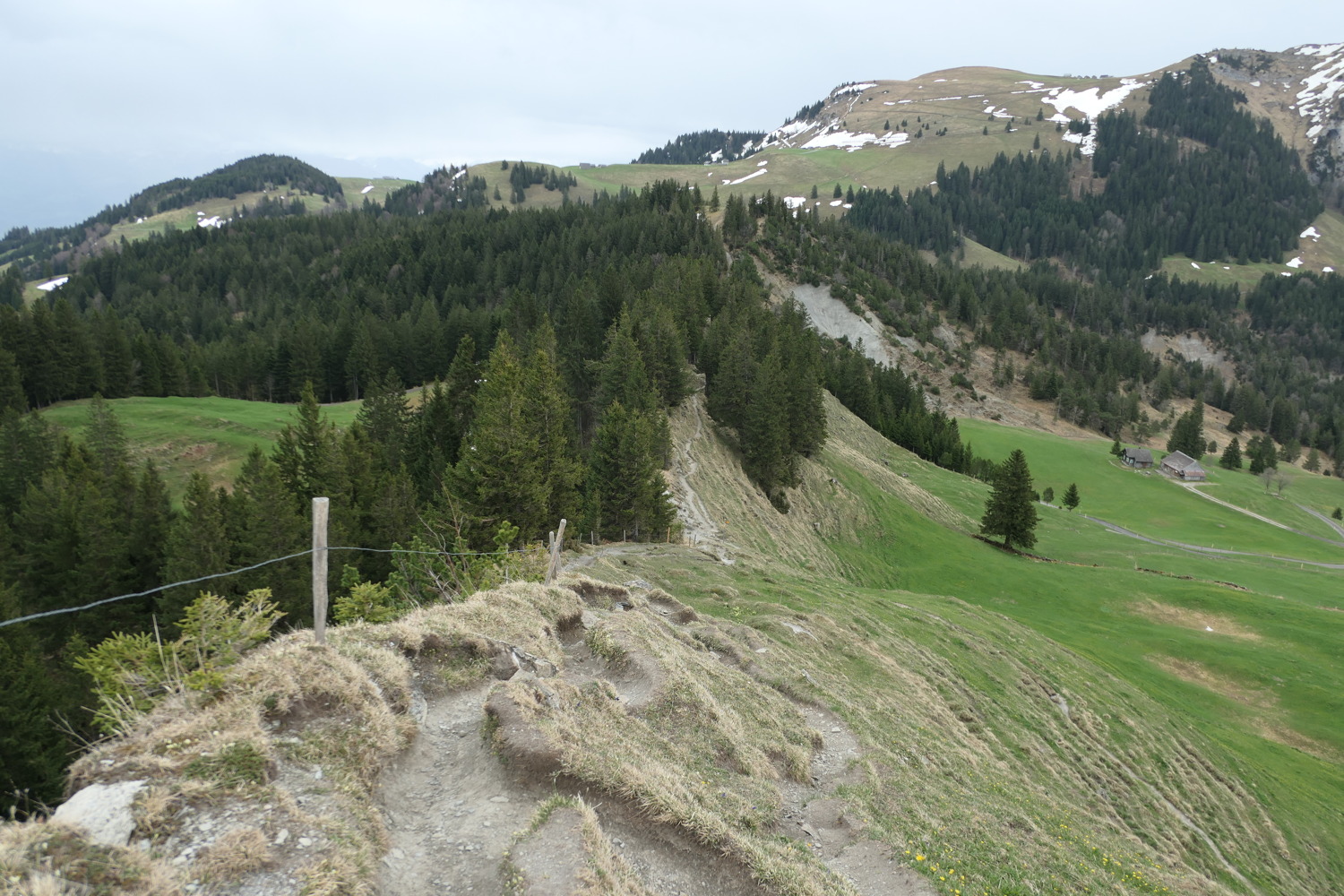 p1020577.jpg