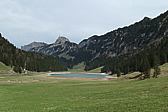 p1020558.jpg