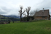 p1020564.jpg