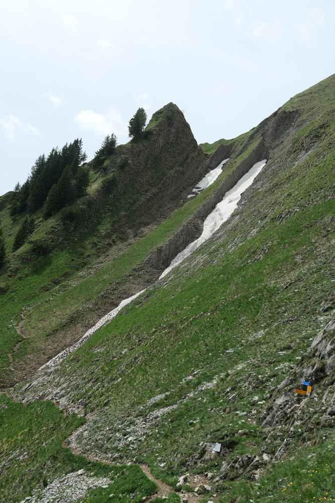 p1020700.jpg