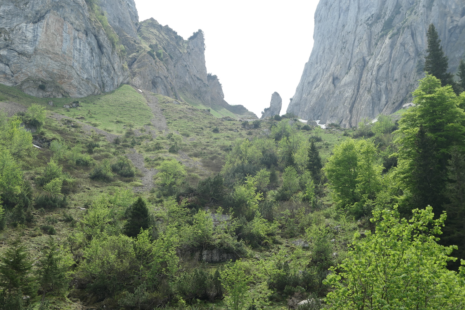 p1020701.jpg