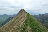 p1020694.jpg