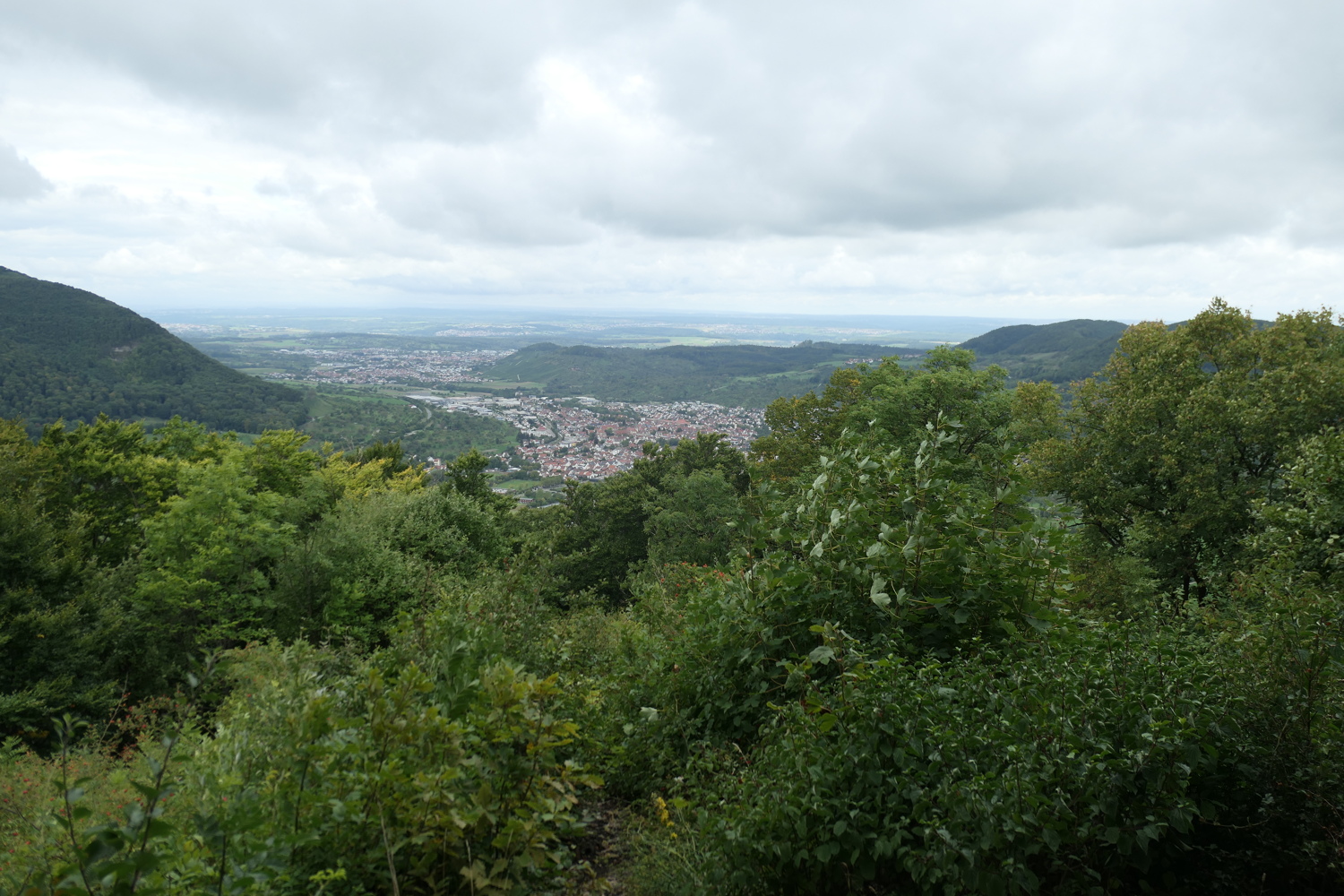p1030633.jpg