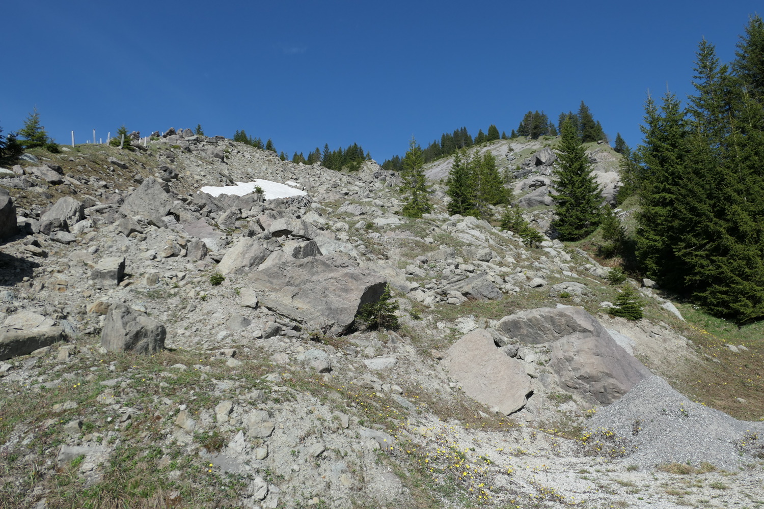 p1020644.jpg