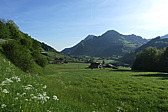 p1020643.jpg