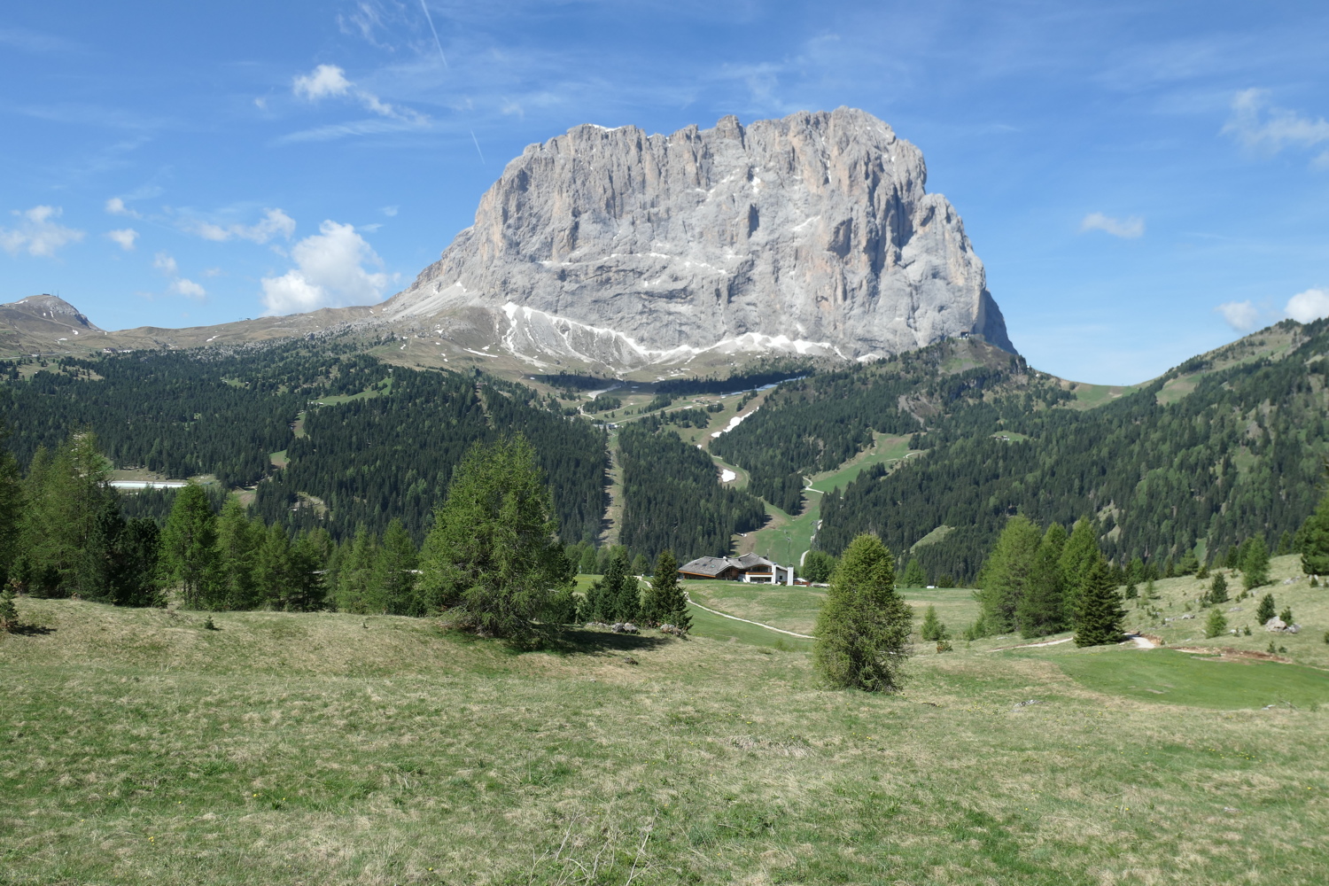 p1020733.jpg