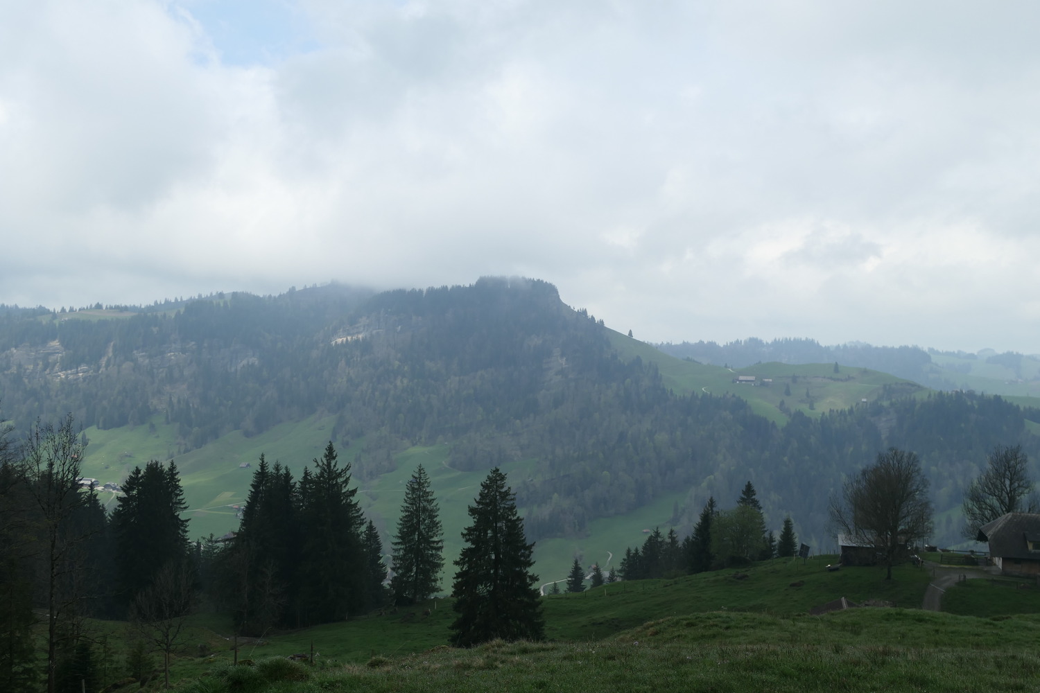 p1020621.jpg