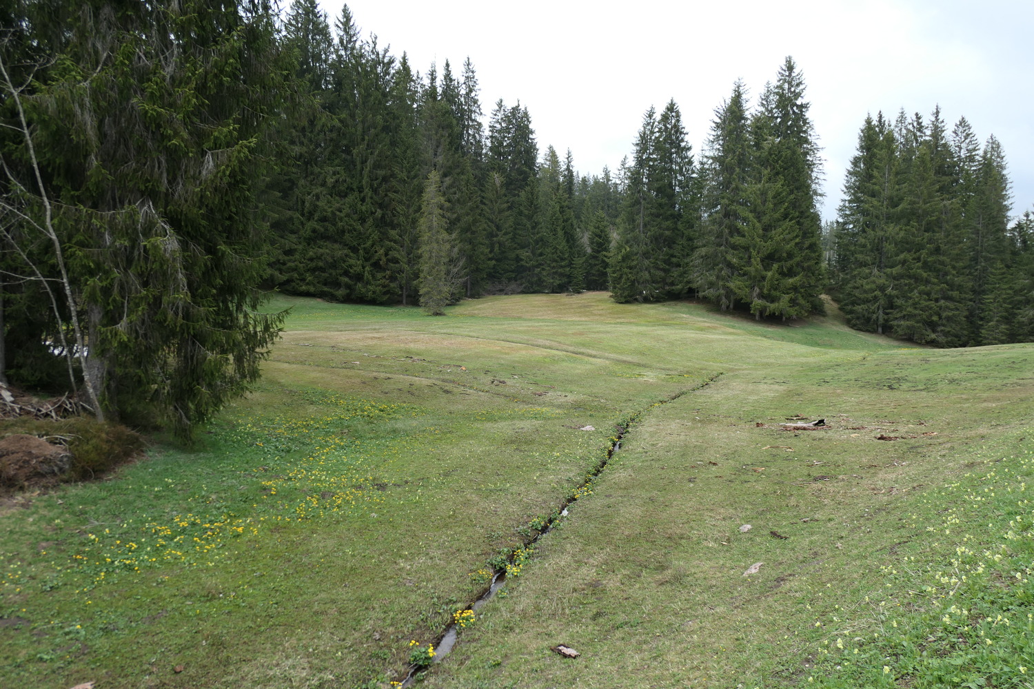 p1020639.jpg