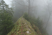 p1020609.jpg