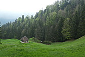 p1020614.jpg