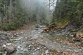 p1020624.jpg