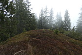 p1020630.jpg