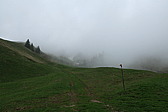 p1020633.jpg
