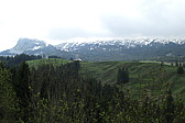 p1020640.jpg