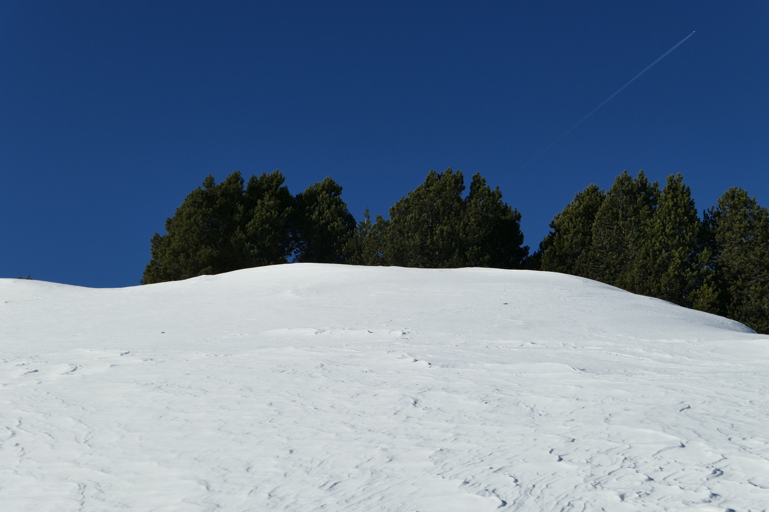 p1020022.jpg