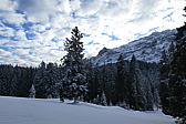 p1020119.jpg