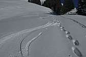 p1020137.jpg