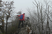 p1040804.jpg