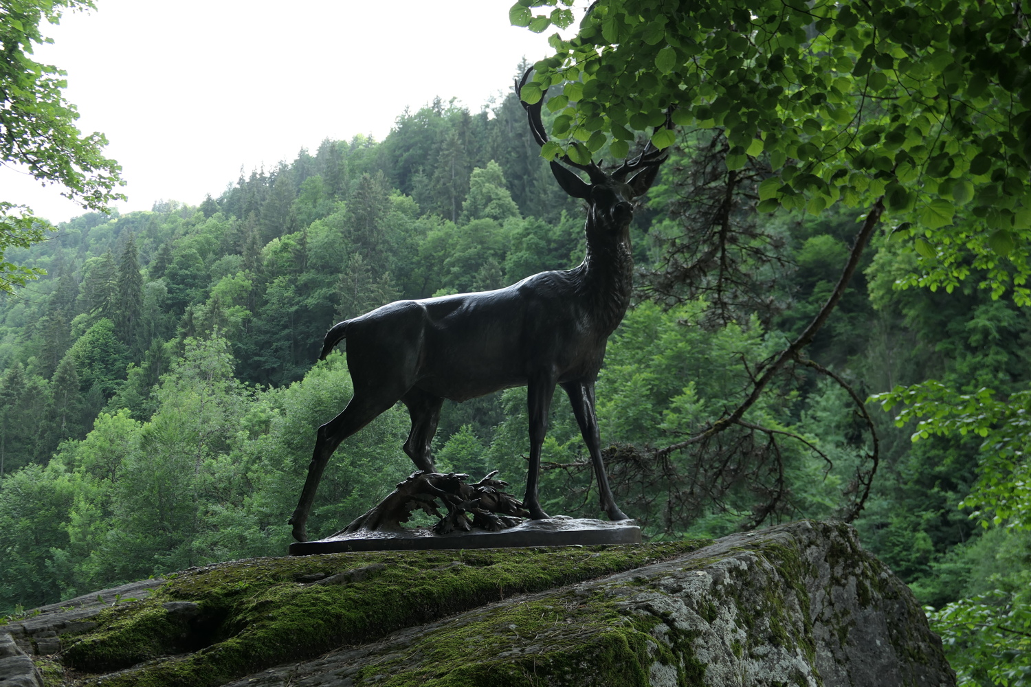 p1020823.jpg
