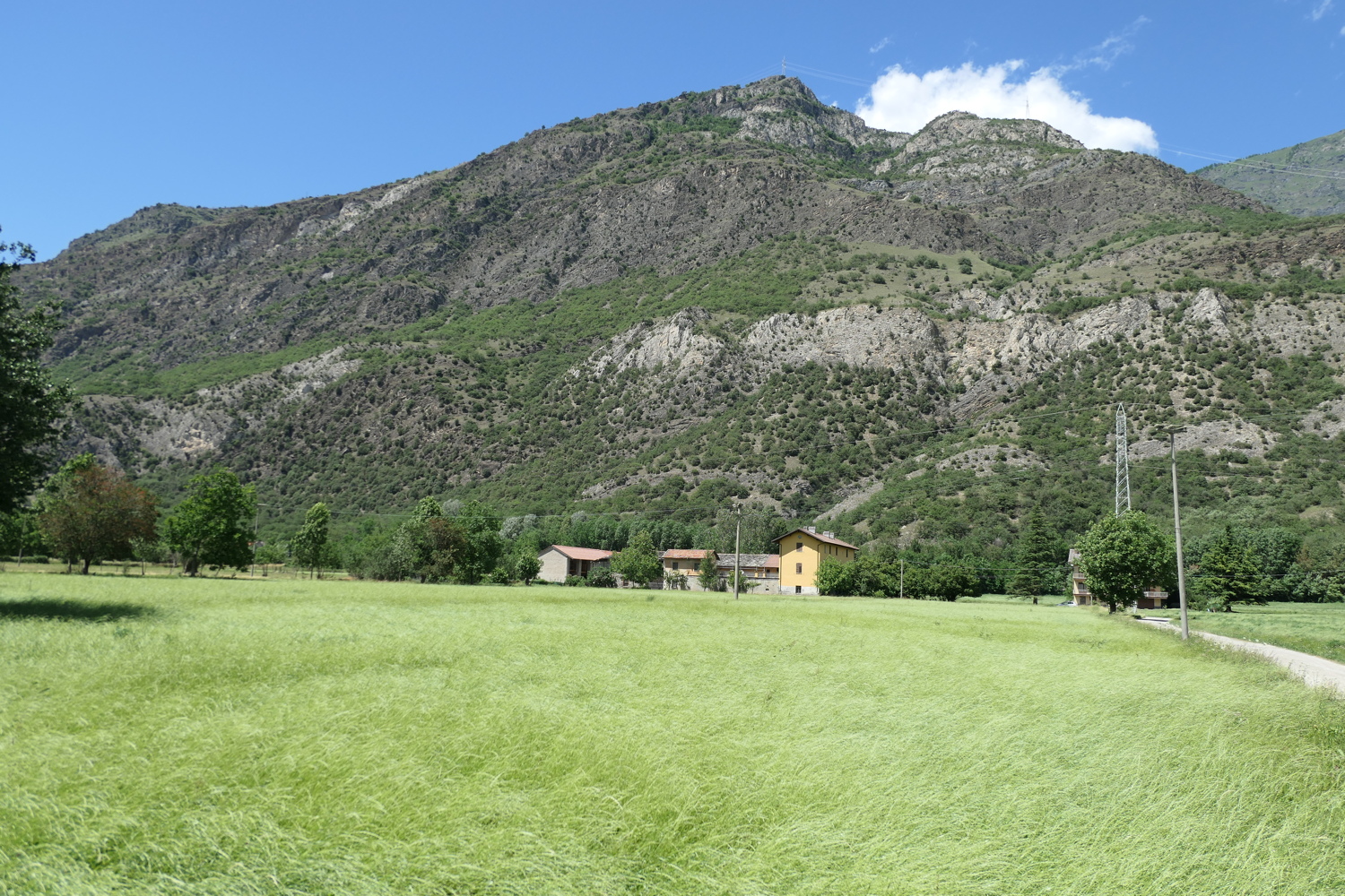 p1020917.jpg