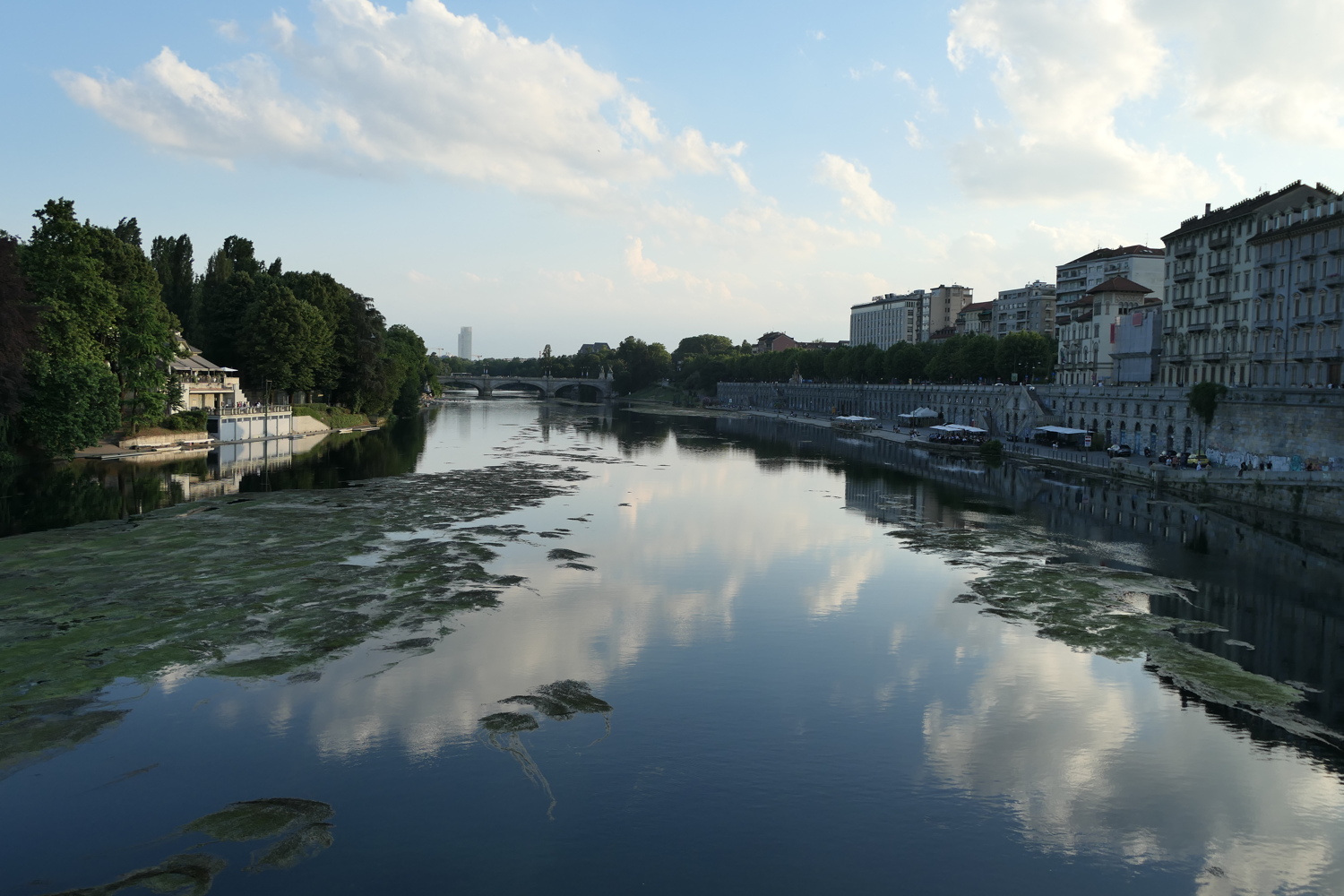 p1020965.jpg