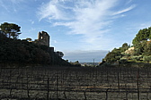 p1050009.jpg
