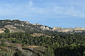 p1050013.jpg