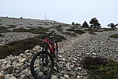 p1050059.jpg