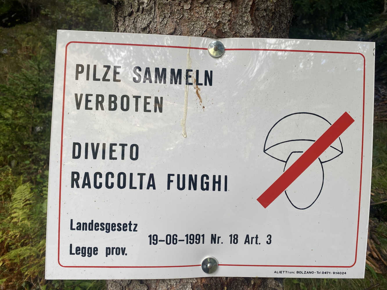 p1030673a.jpg